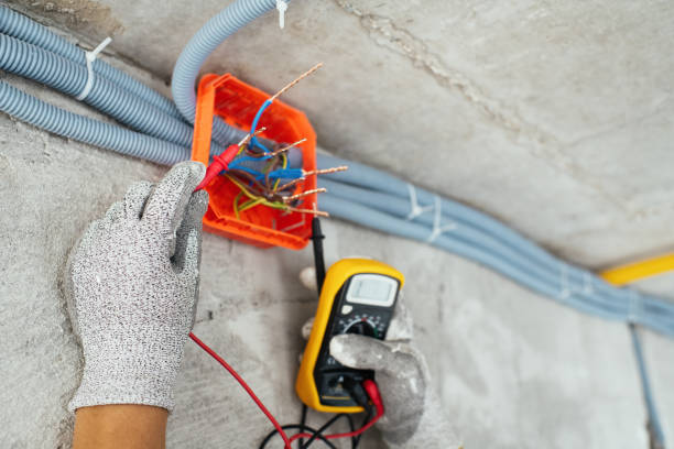 Best Licensed Electrician  in Clarcona, FL